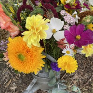 plukabonnement - maandelijks